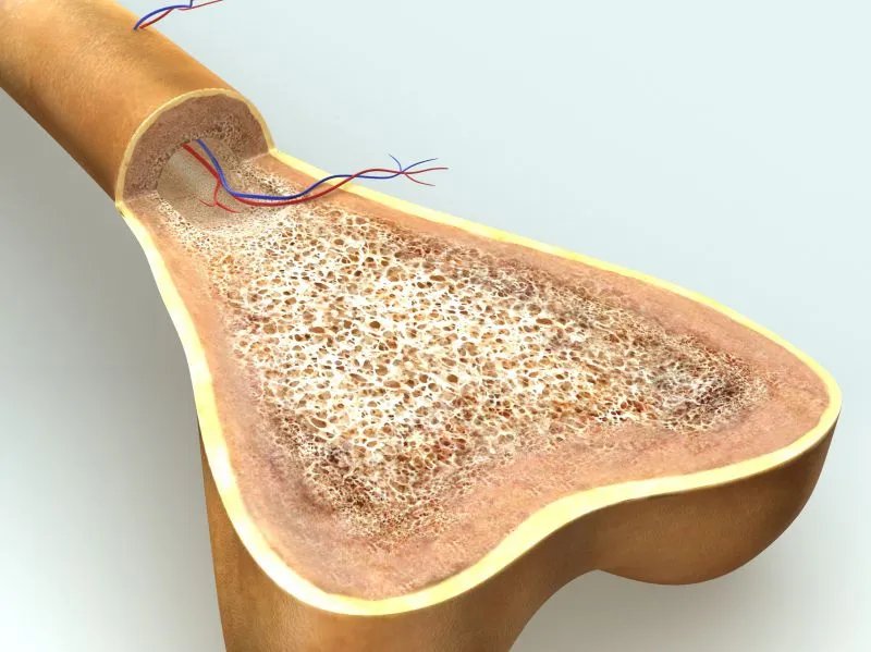 强直性骨髓炎的辅助检查
