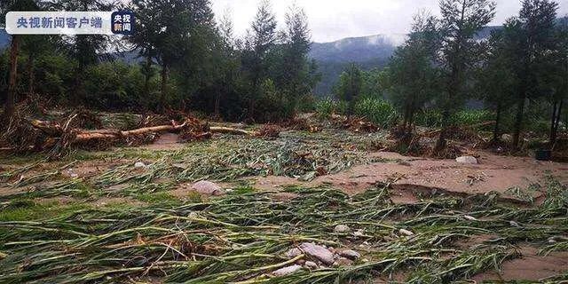 四川冕宁特大暴雨灾害，造成多少损失？