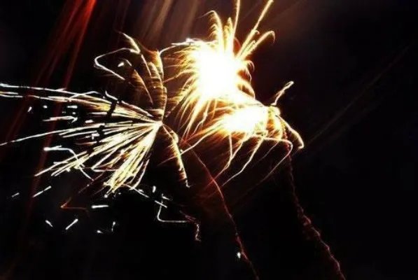 记得当年东风旧白芷林靖焱 记得当年东风旧完整版