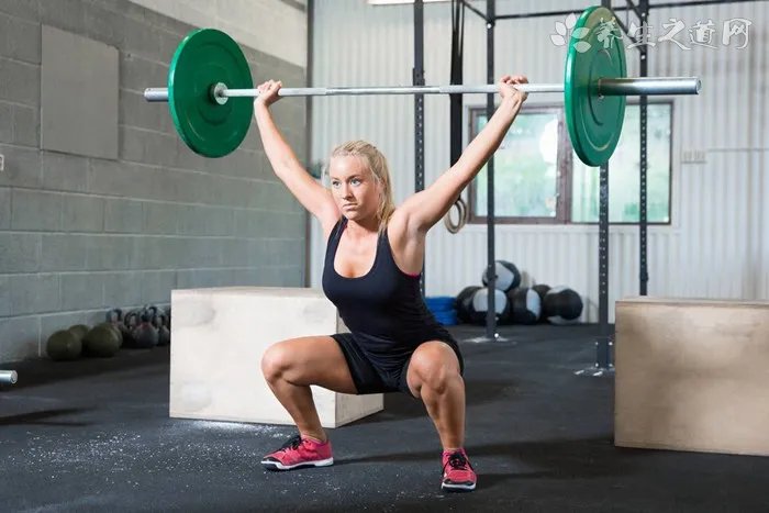 小甲鱼苗怎么养 (小甲鱼苗如何养)