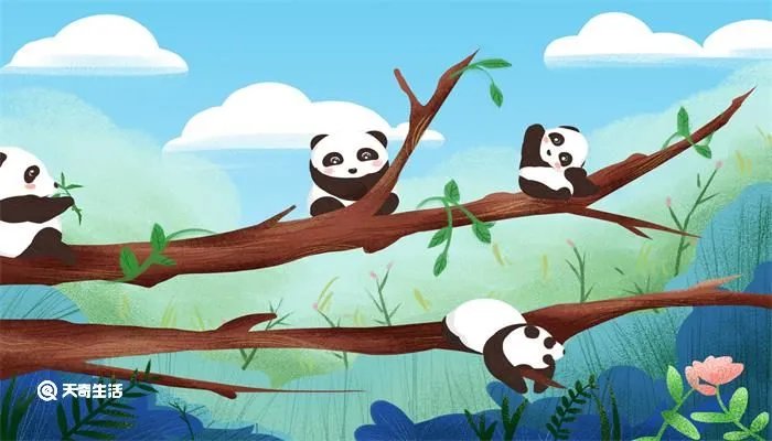 冬奥会的吉祥物叫什么名字