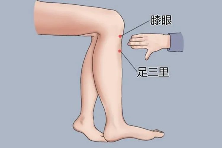 正确宫寒拔罐位置图