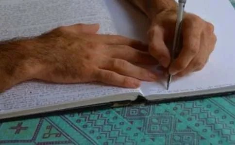 写动物的作文300字