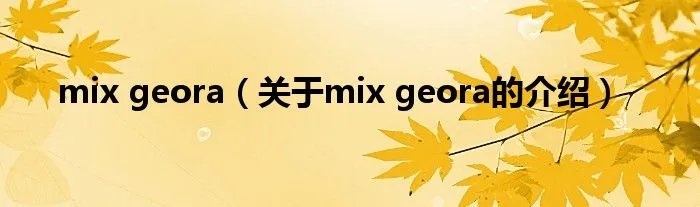 mix geora（关于mix geora的介绍）