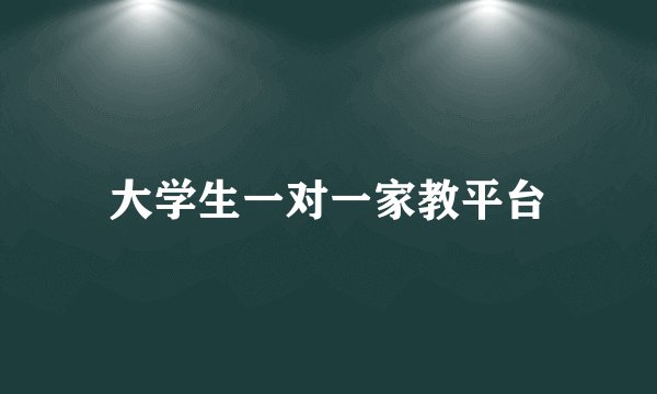 大学生一对一家教平台