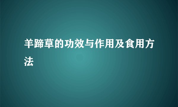 羊蹄草的功效与作用及食用方法