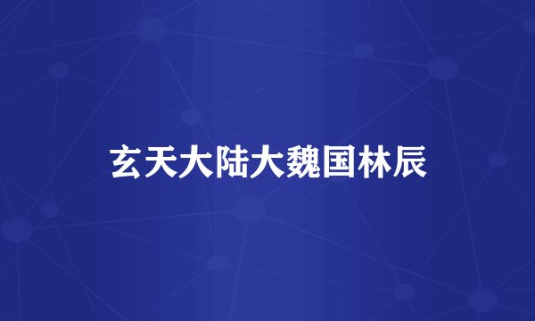 玄天大陆大魏国林辰