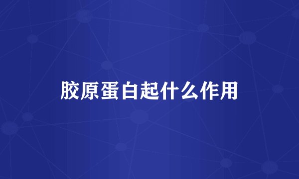 胶原蛋白起什么作用