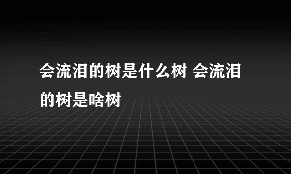 会流泪的树是什么树 会流泪的树是啥树