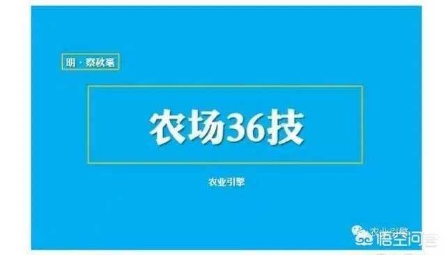 农村种植什么最合适？