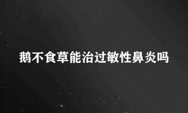 鹅不食草能治过敏性鼻炎吗