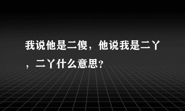 我说他是二傻，他说我是二丫，二丫什么意思？