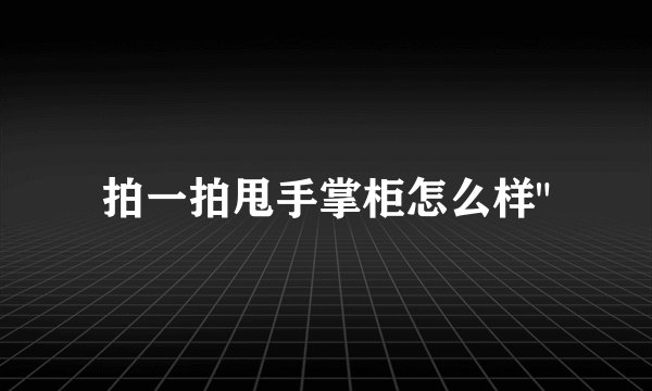 拍一拍甩手掌柜怎么样