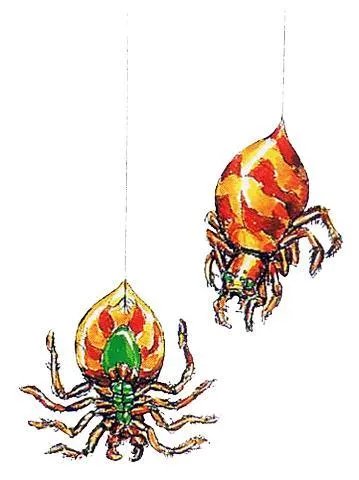 龙王战士攻略（通关方法和装备推荐）