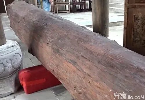 黄金木是什么  如何鉴别黄金木