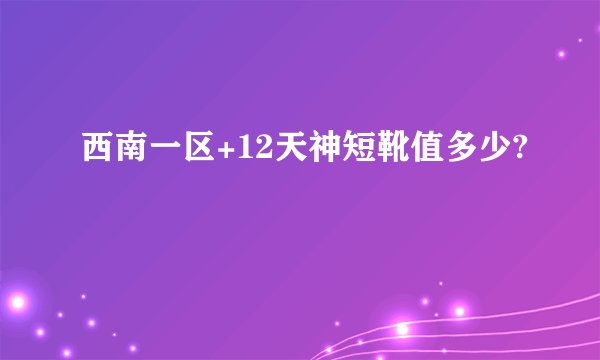 西南一区+12天神短靴值多少?