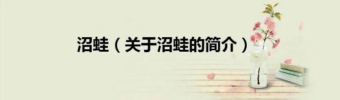 沼蛙（关于沼蛙的简介）