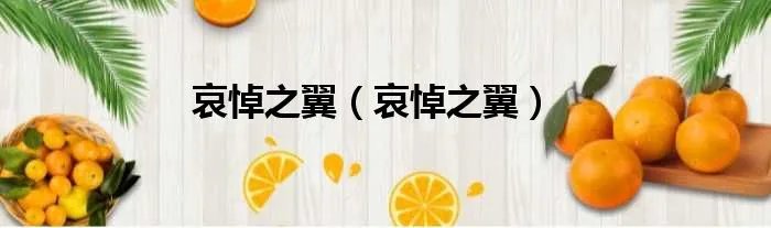 哀悼之翼（哀悼之翼）