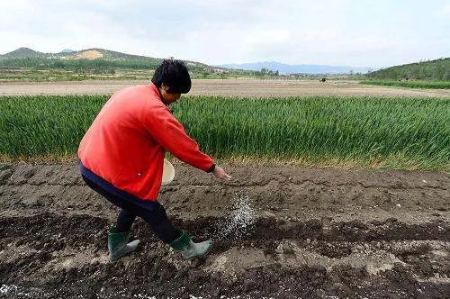 花生共和的产品功能