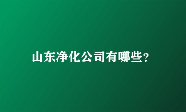 山东净化公司有哪些？