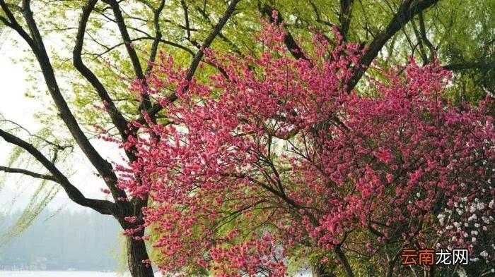 对待感情不是过家家 爱情不是过家家