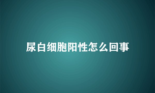 尿白细胞阳性怎么回事