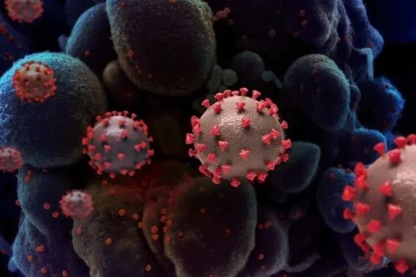 张文宏谈第四针疫苗接种，他是如何看待第四针疫苗的？