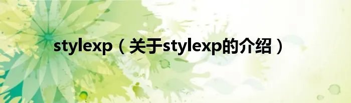 stylexp（关于stylexp的介绍）