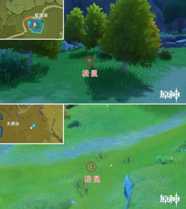 原神四方八方之网可捕捉动物在哪