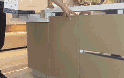 一款让烹饪变成时尚秀的厨柜！【齐家典尚绍兴站】