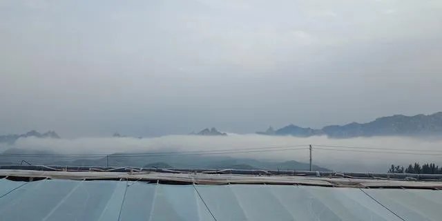 强台风“立奇马”要来了,温室大棚该提前做哪些防御措施,准备什么?