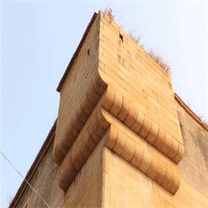 触手tv官网个人中心怎么上传照片