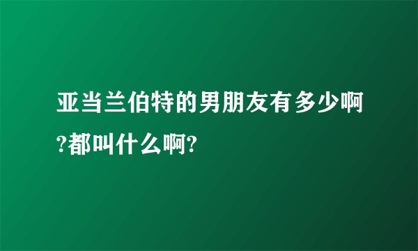亚当兰伯特的男朋友有多少啊?都叫什么啊?
