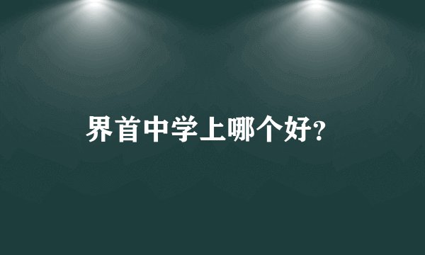 界首中学上哪个好？
