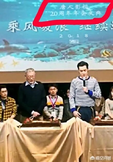 胡歌自己的公司