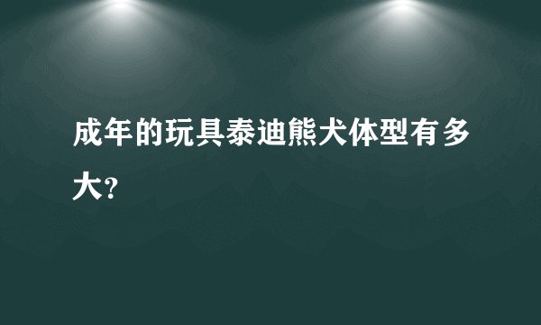 成年的玩具泰迪熊犬体型有多大？