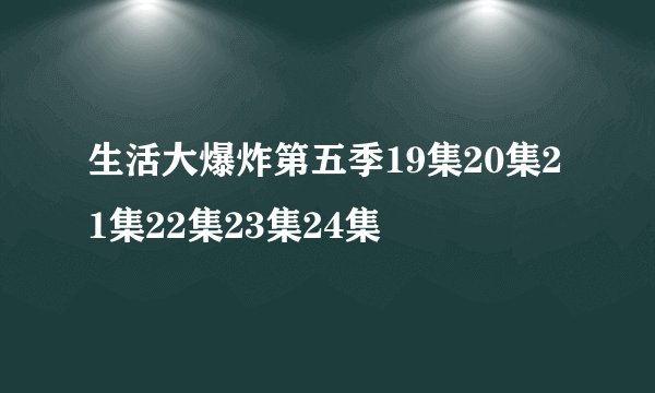 生活大爆炸第五季19集20集21集22集23集24集
