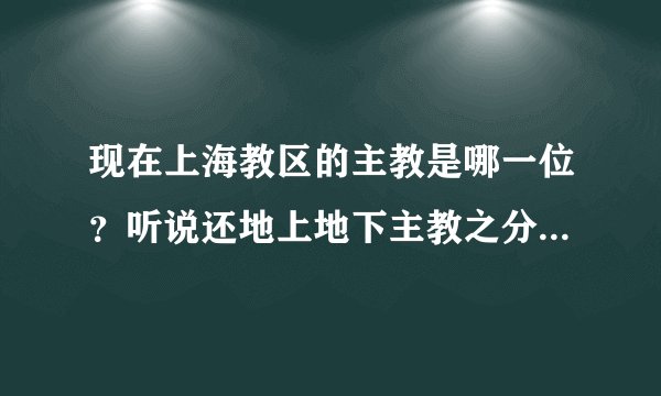 现在上海教区的主教是哪一位？听说还地上地下主教之分，是什么意思？？？