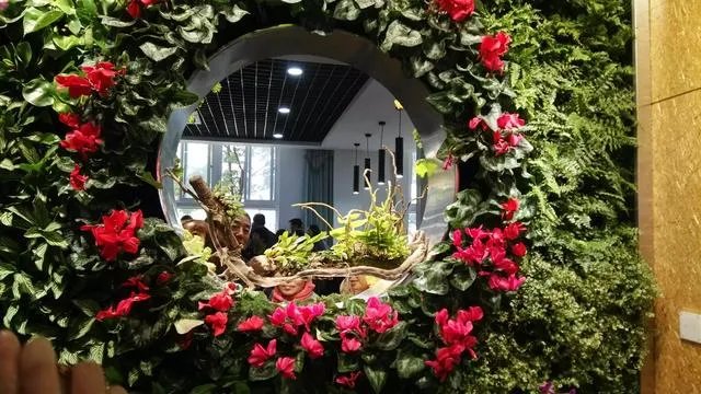 如何看待朱婷将攻读北师大研究生这件事?