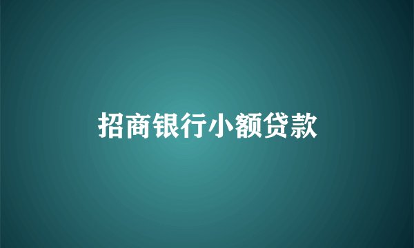 招商银行小额贷款