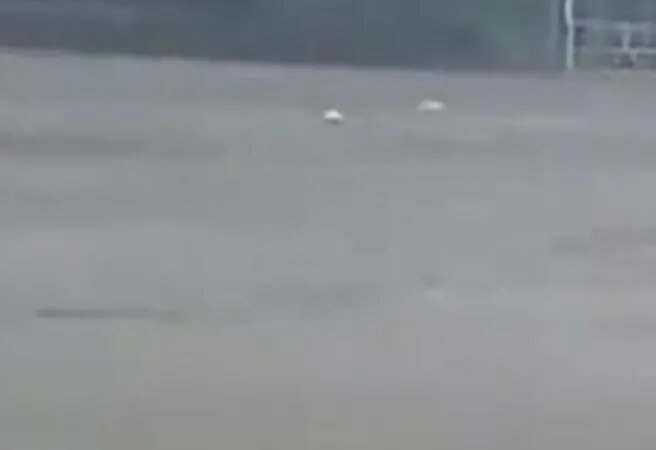 郑州特大暴雨已致51人遇难是怎么回事 郑州特大暴雨已致51人遇难是什么情况