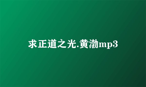 求正道之光.黄渤mp3