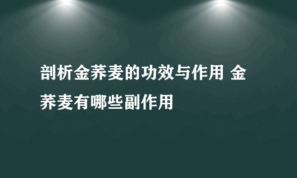 剖析金荞麦的功效与作用 金荞麦有哪些副作用