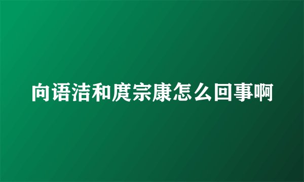 向语洁和庹宗康怎么回事啊