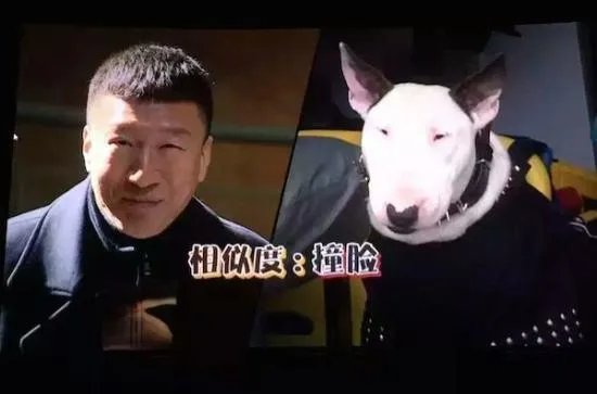 如何评价孙红雷在《极限挑战》中的人品？