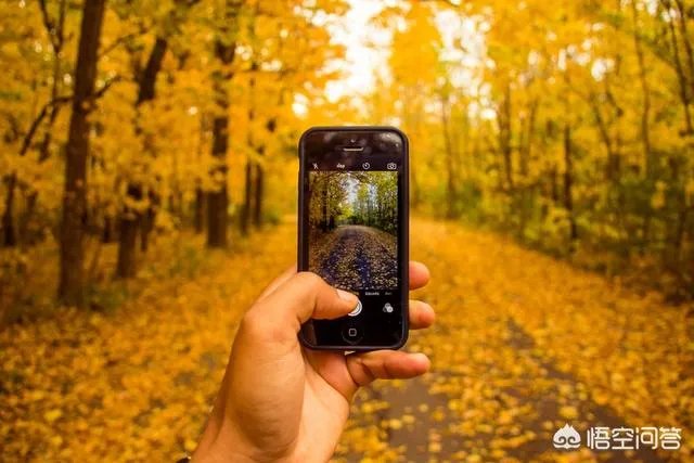 新手应该怎么学摄影？应该从哪里开始学？