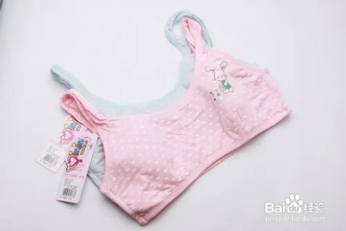 少女文胸的选择