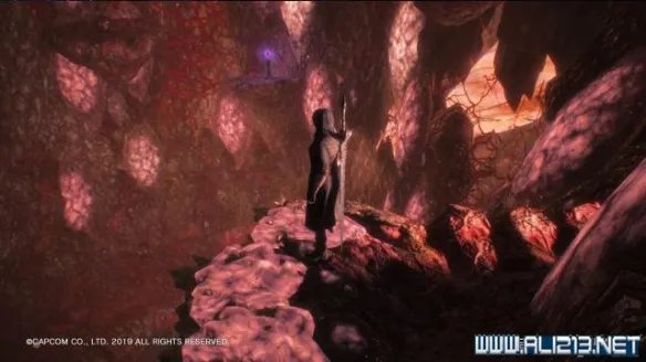 《鬼泣5》存档位置在哪 存档文件位置介绍