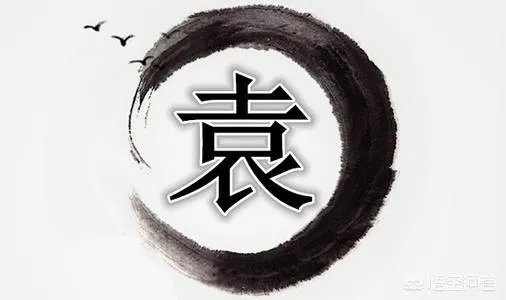 刘姓、袁姓是怎么来的？谢谢？