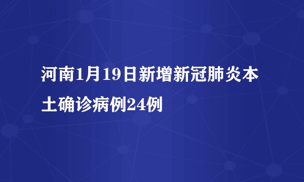 河南1月19日新增新冠肺炎本土确诊病例24例